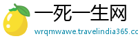 一死一生网